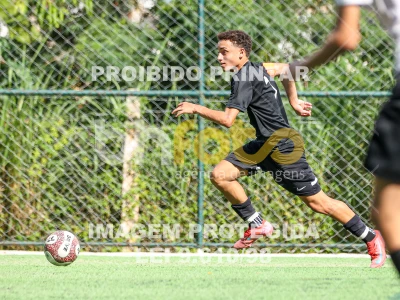 Detalhes da foto #12647