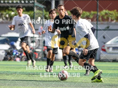 Detalhes da foto #54445