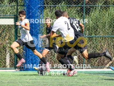 Detalhes da foto #61752