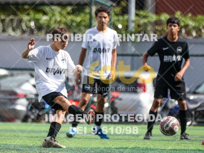 Detalhes da foto #43690