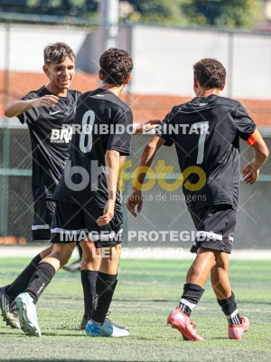 Detalhes da foto #27644