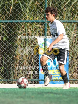 Detalhes da foto #95740