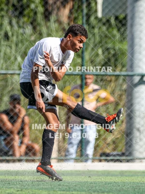 Detalhes da foto #82187