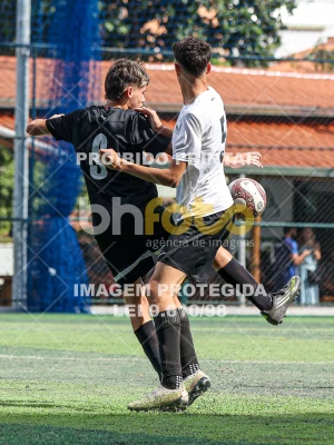 Detalhes da foto #81746