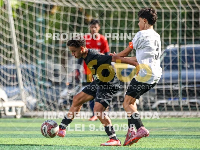 Detalhes da foto #41416