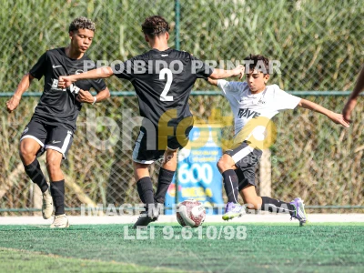 Detalhes da foto #15352