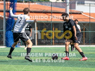 Detalhes da foto #3838637