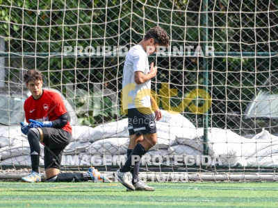 Detalhes da foto #4358156