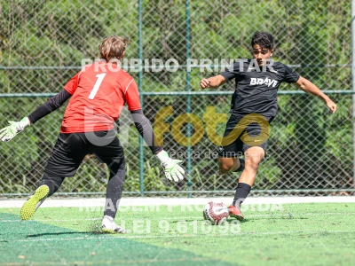 Detalhes da foto #2958606