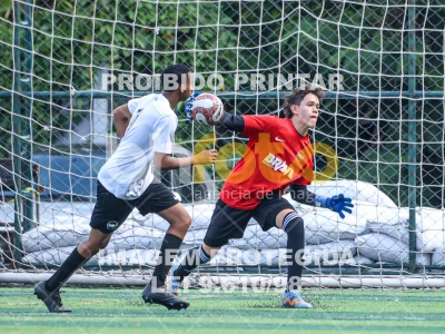 Detalhes da foto #6462623