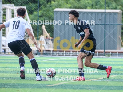 Detalhes da foto #2719070