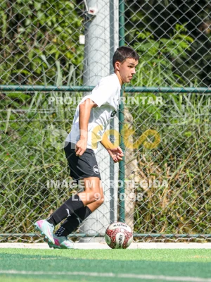 Detalhes da foto #2449297