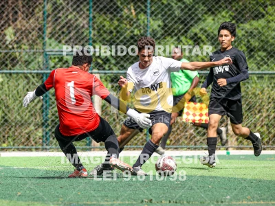 Detalhes da foto #6439360