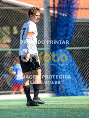 Detalhes da foto #9142870