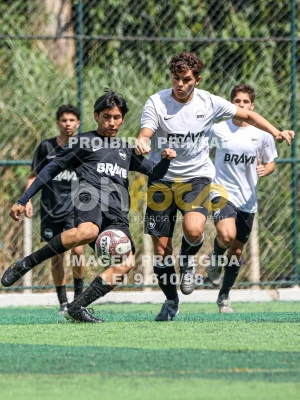 Detalhes da foto #2283788