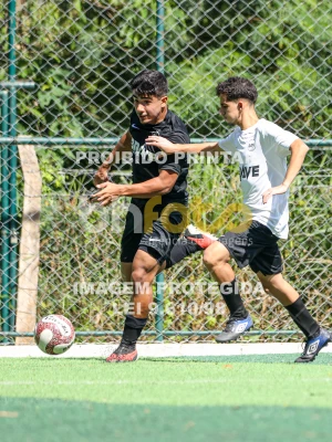 Detalhes da foto #6878227