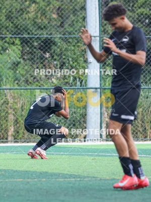 Detalhes da foto #1260254