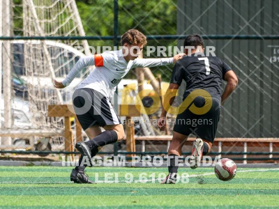 Detalhes da foto #9095924