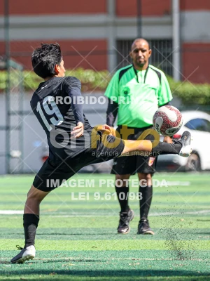 Detalhes da foto #7006993