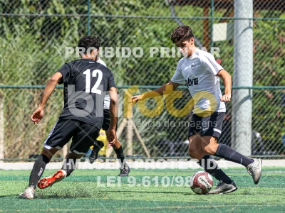 Detalhes da foto #5254359