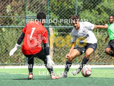 Detalhes da foto #9208821