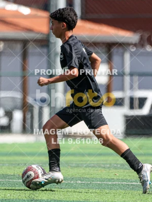 Detalhes da foto #3988376