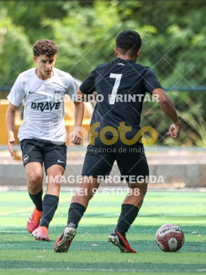 Detalhes da foto #8029336