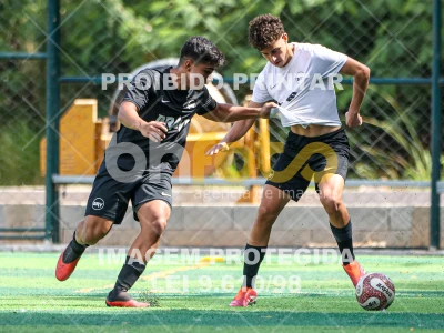 Detalhes da foto #4318236