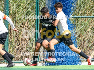 Detalhes da foto #4596367