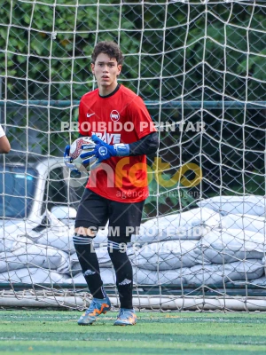 Detalhes da foto #8019586