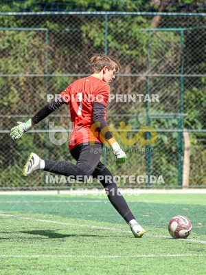 Detalhes da foto #2786581