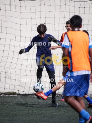 Detalhes da foto #7000035