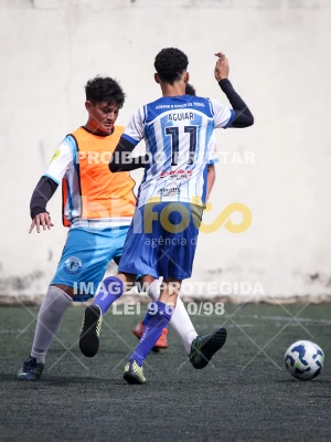 Detalhes da foto #4943943