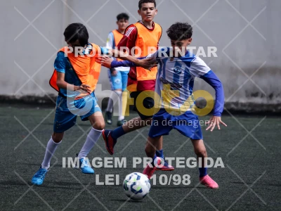 Detalhes da foto #3823207