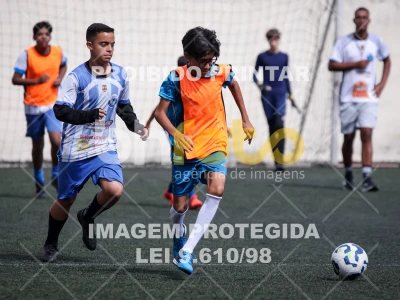 Detalhes da foto #1467235