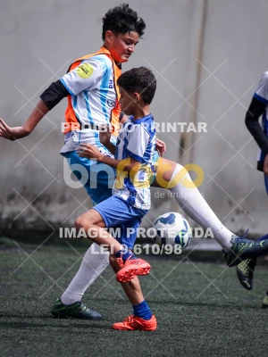 Detalhes da foto #2880654