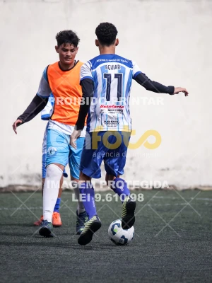 Detalhes da foto #2640734