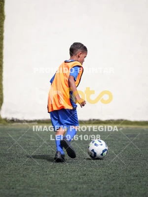Detalhes da foto #8701557