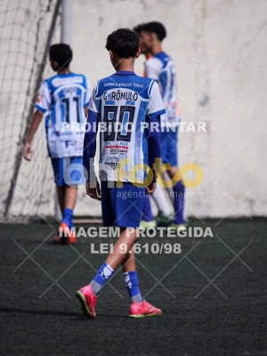 Detalhes da foto #5000175