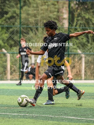 Detalhes da foto #8291085