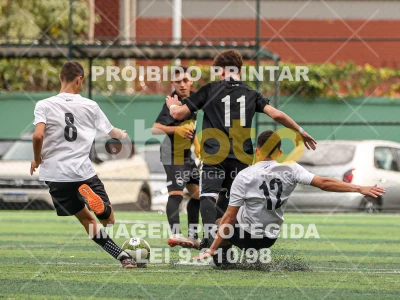 Detalhes da foto #8499078