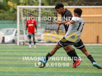 Detalhes da foto #8482336