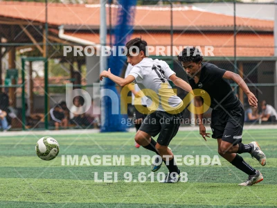 Detalhes da foto #8418266