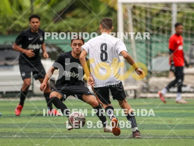 Detalhes da foto #6678729
