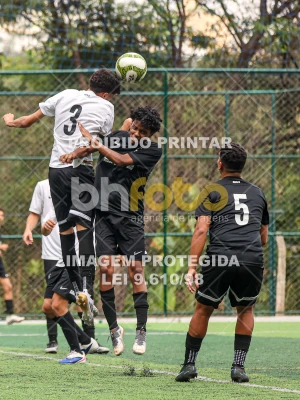 Detalhes da foto #5287657
