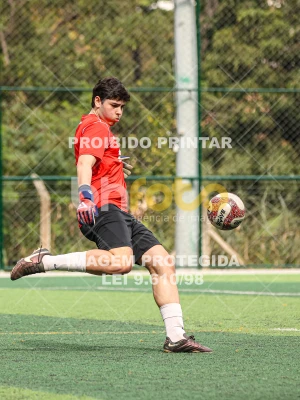 Detalhes da foto #3217534