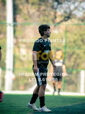 Detalhes da foto #2305109
