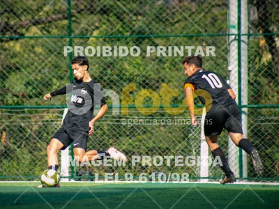 Detalhes da foto #3143052