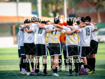 Detalhes da foto #7706223