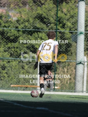 Detalhes da foto #2204044